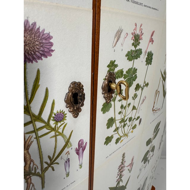 1950’s Swedish Curved Front Cabinet With Nordens Flora Illustrations For Sale In Boston - Image 6 of 13