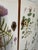 1950’s Swedish Curved Front Cabinet With Nordens Flora Illustrations For Sale In Boston - Image 6 of 13