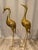 Add a commanding focal point to your interior with this striking pair of oversized crane sculptures. Standing at an...