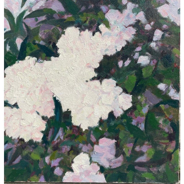 Illustration Rare Original John Loughlin 'pink Hydrangea Bush' Flower Floral Oil Painting For Sale - Image 3 of 9
