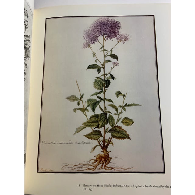 1980s 1980 Flowers in Books and Drawings Book For Sale - Image 5 of 13