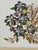 Vintage Coastal Mixed Media Seashell Floral Wall Art in Painted Frame For Sale - Image 4 of 12