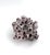 Natural Barnacles Cluster For Sale In Los Angeles - Image 6 of 8