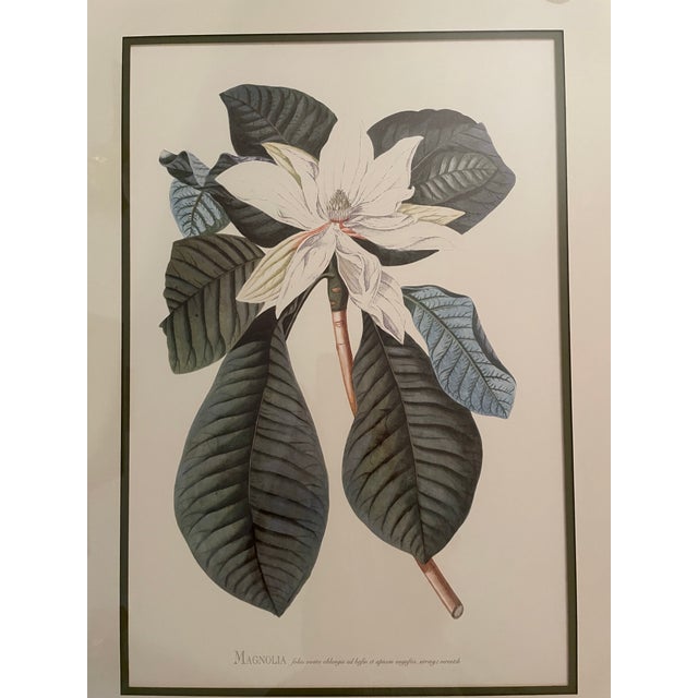Gold Framed Magnolia Prints, a Pair For Sale In Atlanta - Image 6 of 10