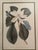 Gold Framed Magnolia Prints, a Pair For Sale In Atlanta - Image 6 of 10