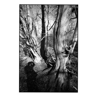 Paul Cooklin, Shadow Selfie, Edition of 50 For Sale