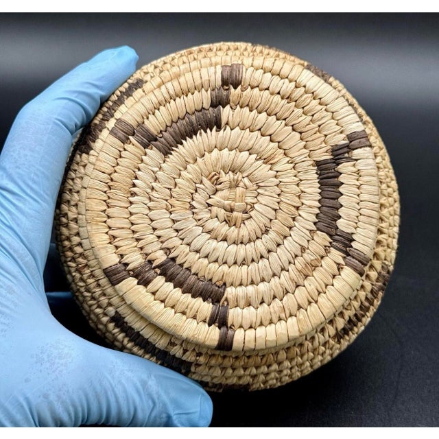 Textile 1930s Native American Papago Style Hand Woven Lidded Coil Basket. Tohono O’odham Style For Sale - Image 7 of 12