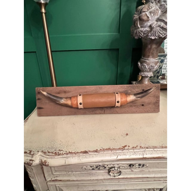 Vintage Mounted Bull Horns For Sale - Image 10 of 12