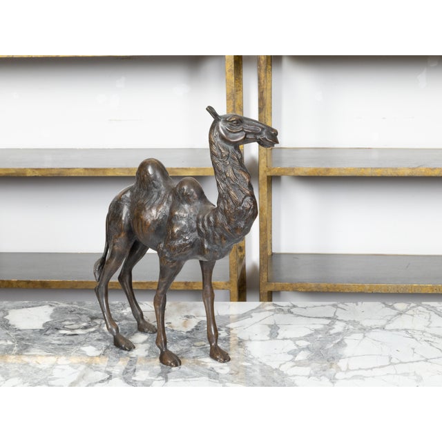 French Turn of the Century Cast Bronze Camel Statuette with Dark Patina, 1900s For Sale In Atlanta - Image 6 of 10