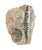 Ammonite and Orthoceras Fossil Plaque - Organic Modern Prehistoric Art For Sale In Tampa - Image 6 of 10