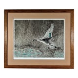 Christopher Forrest, Pintail, Circa 1990 For Sale