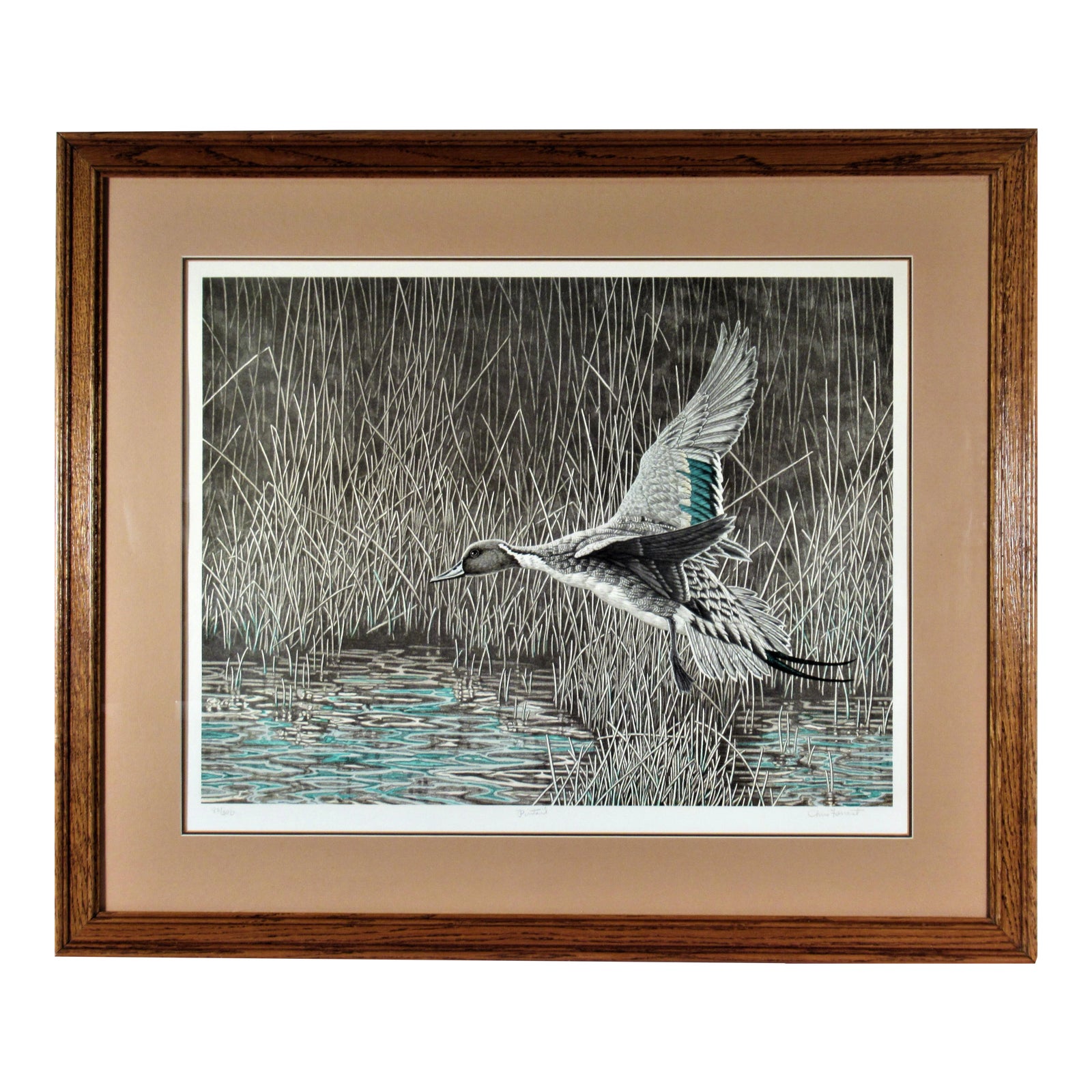 Christopher Forrest, Pintail, Circa 1990 | Chairish