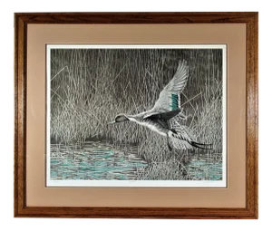 Christopher Forrest, Pintail, Circa 1990