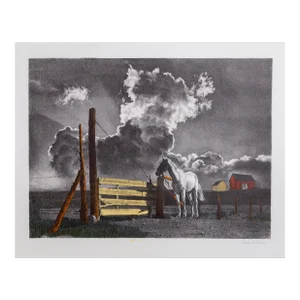 Horse in Field, Sandu Liberman Lithograph, Signed and Numbered in Pencil