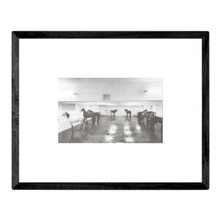 2018 Claudio Abate 'Jannis Kounellis. Cavalli 1969' Offset Lithograph For Sale