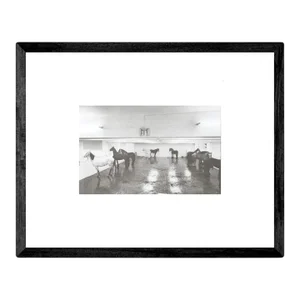 2018 Claudio Abate 'Jannis Kounellis. Cavalli 1969' Offset Lithograph