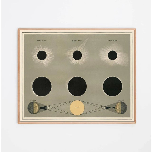 Reproduction Antique Astronomy Print of the Corona Eclipse - 51" X 40" For Sale - Image 4 of 4