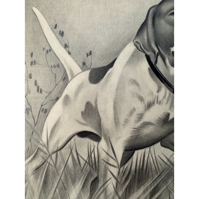 Illustration 1940s Original Signed Graphite Illustration of Pointer Hunting Dog, 12 × 10 In. For Sale - Image 3 of 5
