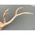 Vintage Carved Wood Antler Wall Mount For Sale - Image 10 of 14