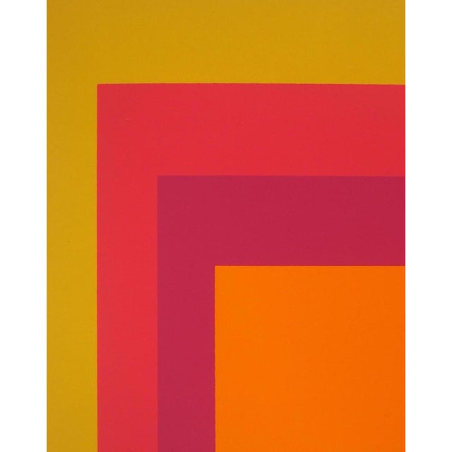Modern Josef Albers, RI D-5, Original Silkscreen Print For Sale - Image 3 of 6