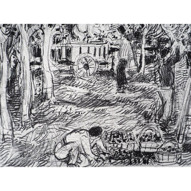 André Cottavoz, Summer Picking in Vallauris, 1976, Original Lithograph For Sale - Image 4 of 10