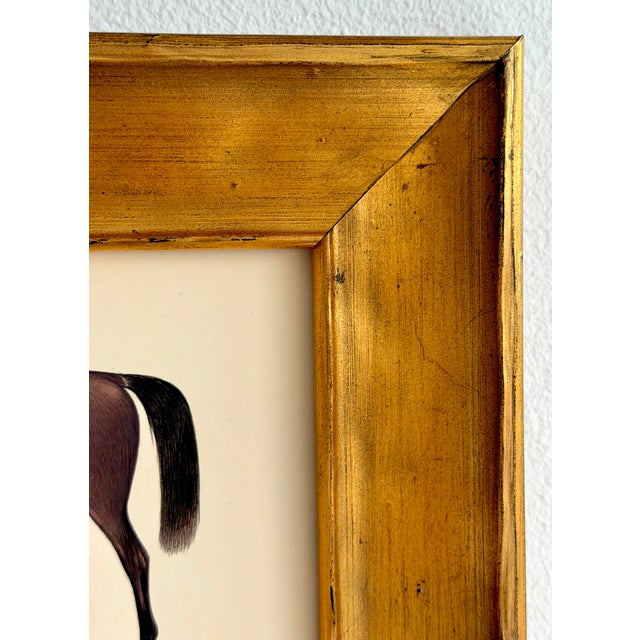 Realism Original Hand-Painted Horse Painting, Framed For Sale - Image 3 of 4