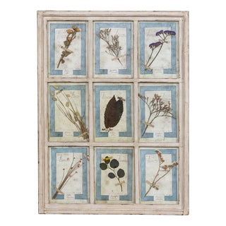 Large Italian Oak Frame Containing Pressed Flowers and Herbs, 1980s For Sale