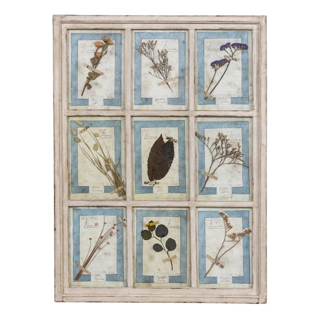 Large Italian Oak Frame Containing Pressed Flowers and Herbs, 1980s For Sale