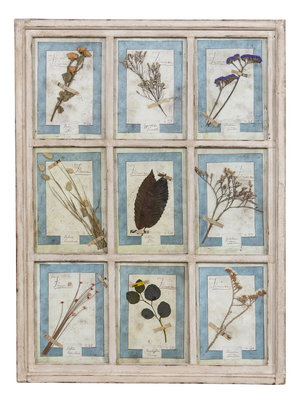 Large Italian Oak Frame Containing Pressed Flowers and Herbs, 1980s