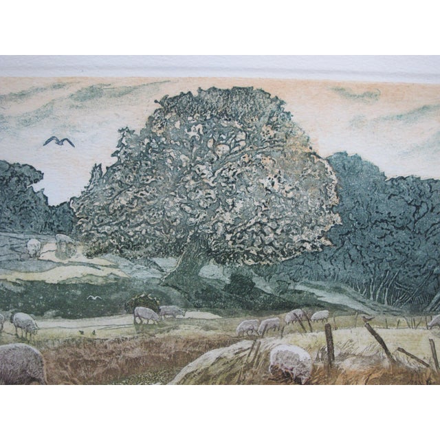 Late 20th Century Robert Greenhalf Unframed Heron Rising Signed Limited Edition Art Print Etching For Sale - Image 5 of 7