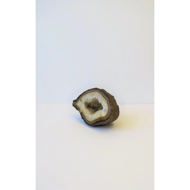 Gemstone Agate Geode White and Brown Natural Sculpture For Sale - Image 7 of 9