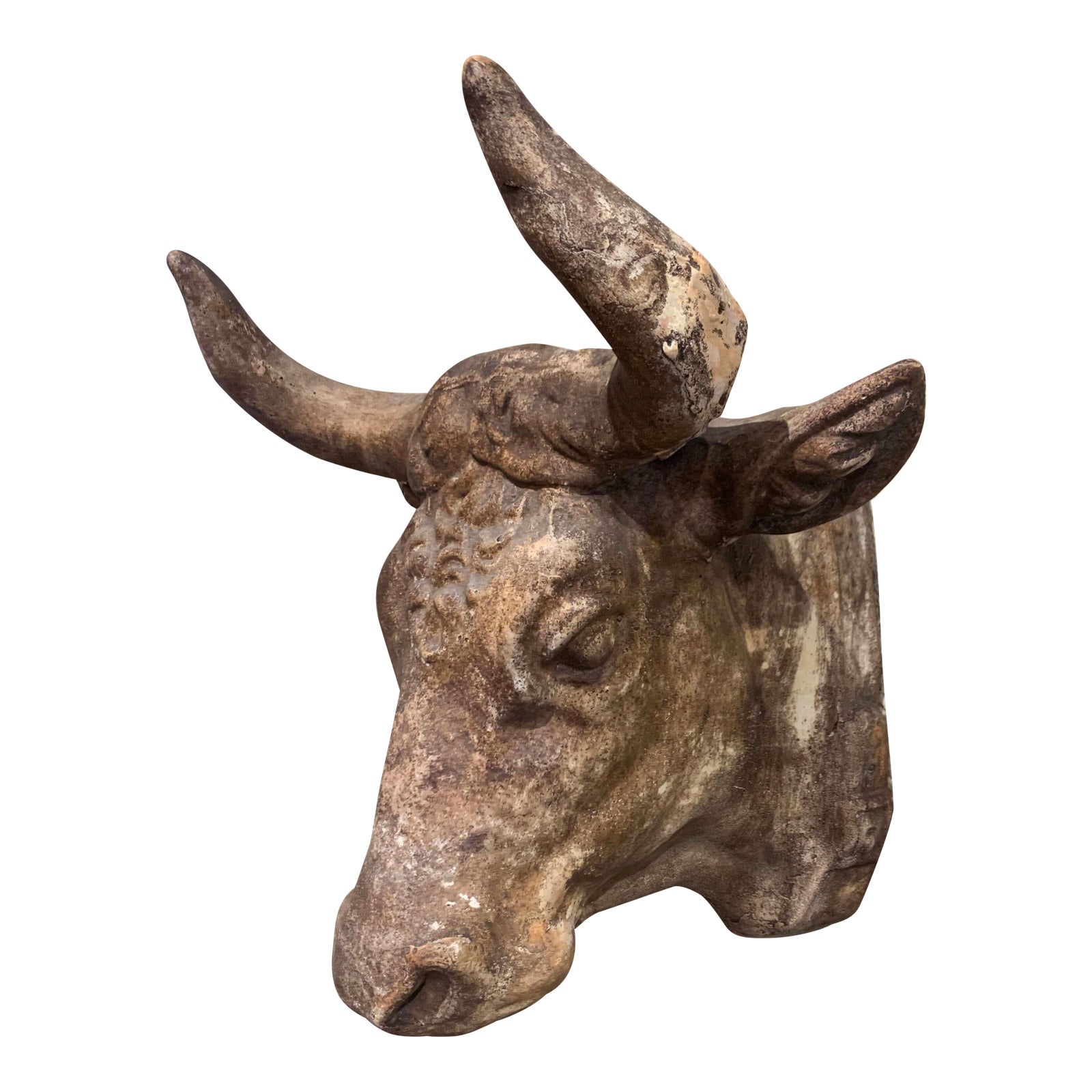 Mid20th Century French Carved Terracotta Butcher Cow Head Sculpture