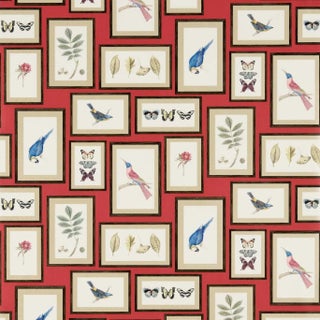 Sanderson Picture Gallery Wallpaper in Red/Multi For Sale