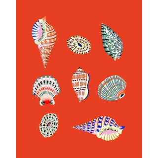 "Beachcomber (Coral Red)" Contemporary Giclee Print by Sarah Gordon For Sale