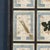 Black Large Italian Pressed Flowers and Herbs in Oak Frame, 1950s For Sale - Image 8 of 15