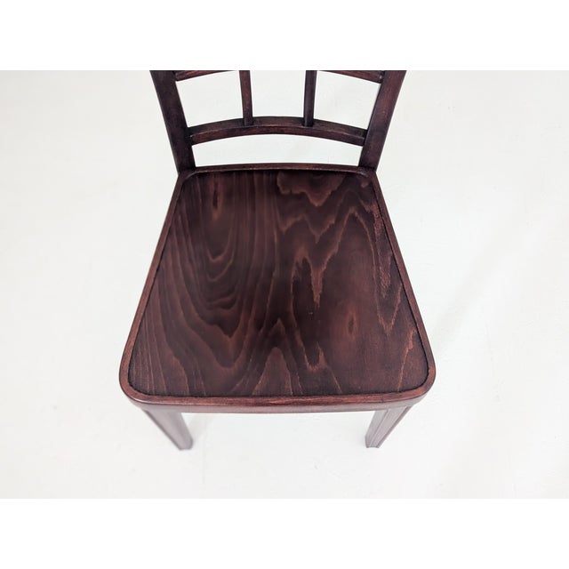 Brown Vintage A 562 Chairs by Gustav Siegel for Thonet, 1930s, Set of 2 For Sale - Image 8 of 15