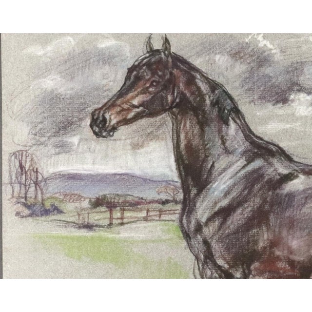 The Equestrian Eye: Original Pastel of a Stallion by Leslie Charlotte Benenson Dated May 16, 1986 This beautifully...