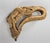 19th or 20th Century Carved Folk Art Deer Antler Cane Handle With Snake and Animal For Sale - Image 12 of 12