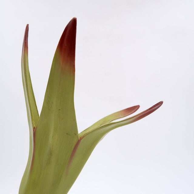 Educational model - 1930s - Botanical !!! The "flower" piece is missing !!! Measures : Ø 16cm H:30cm Materials : painted...