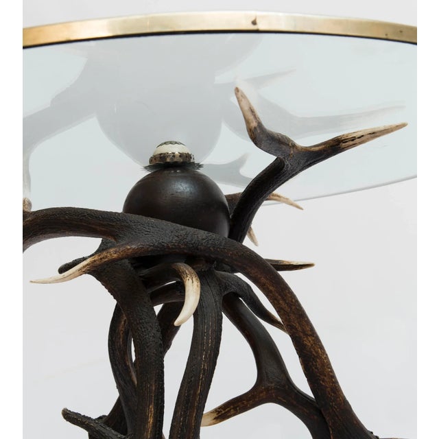 19th Century Antler Base Side Table With Glass Top For Sale - Image 12 of 13