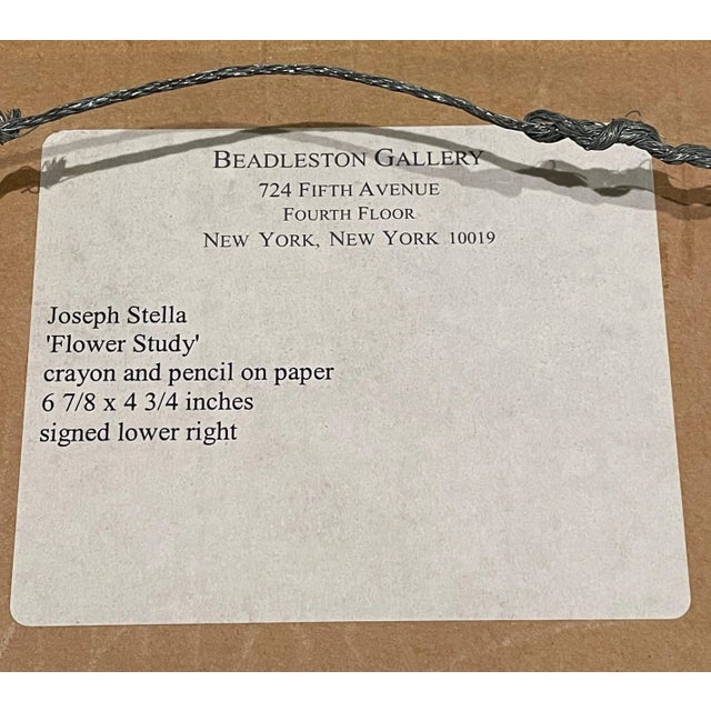 Paper Joseph Stella (American, 1877–1946) Floral Study, Pencil and Crayon on Paper For Sale - Image 7 of 8