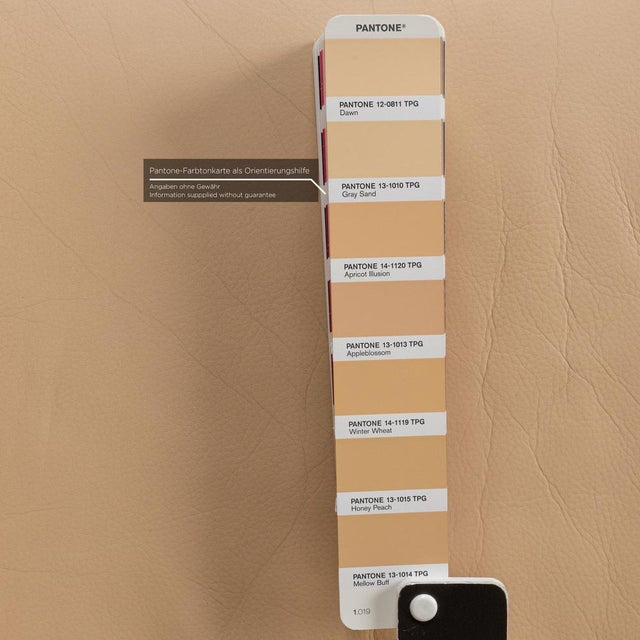 Beige Leather Armchair from Walter Knoll / Wilhelm Knoll For Sale - Image 5 of 16