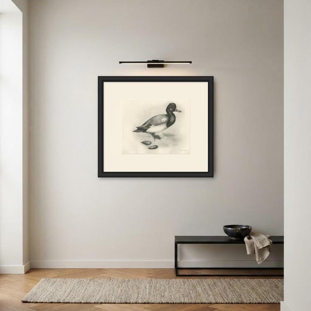 Paper After Lilian Medland, Scaup and Mussels, 1909, Print For Sale - Image 7 of 9