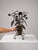 Striking vintage wrought-iron wine rack designed as an elaborate floral bouquet, with curling stems, sculptural roses,...