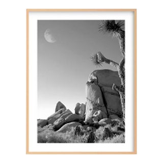 Joshua Tree Moonrise Framed Photography For Sale
