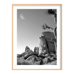 Joshua Tree Moonrise Framed Photography