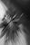 No. 7127 is a limited-edition photographic work by Chris Delmar. The image originates in a constructed optical event...