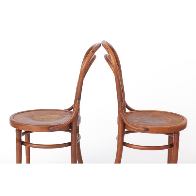 Brown Antique Austrian Beech Bentwood Dining Chairs, 1930s, Set of 2 For Sale - Image 8 of 12
