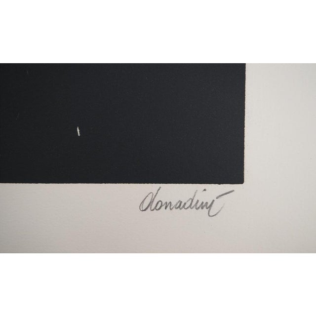 Jean-Paul Donadini, Le pigeon voyageur, Lithograph For Sale - Image 8 of 9