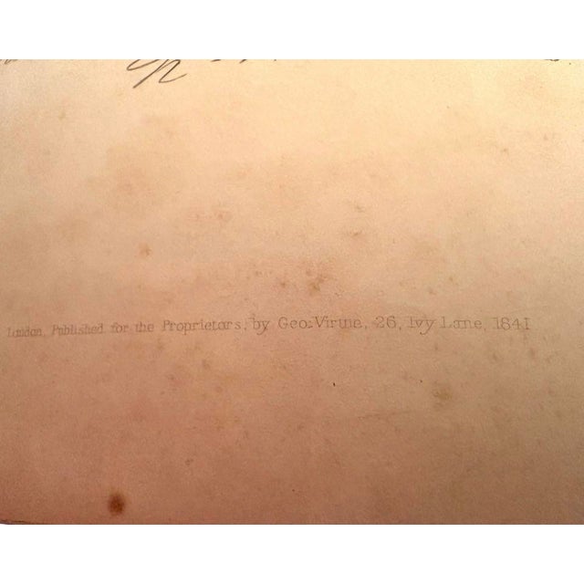 Animal Skin Antique Irish History Book - Scenery and Antiquities of Ireland - 1841 -Bartlett | Antique Leather Bound Book For Sale - Image 7 of 8